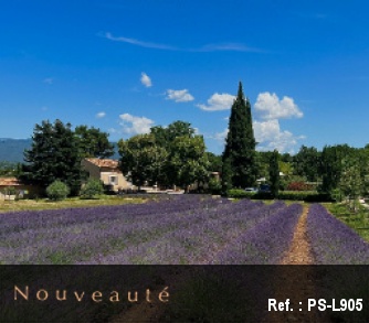  location avec vue Provence Luberon